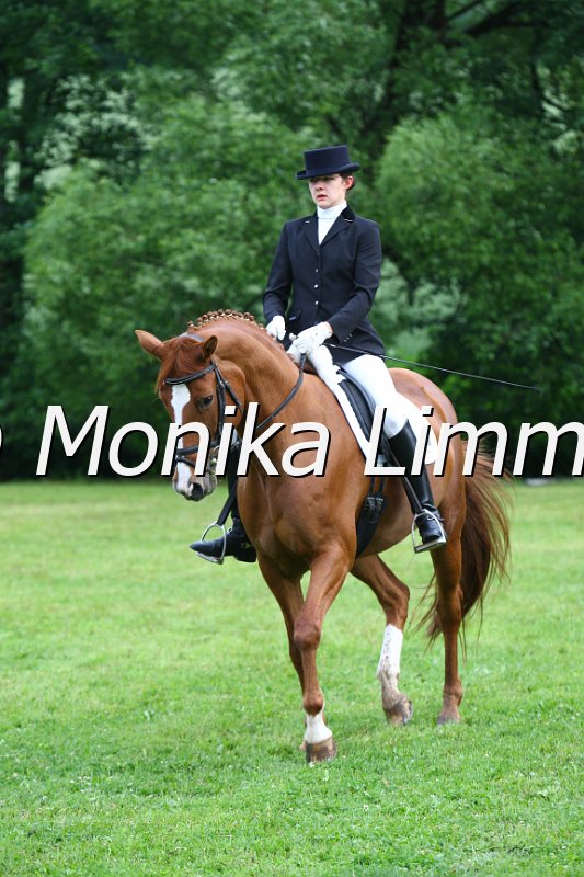 006M3256_Dressur L.JPG